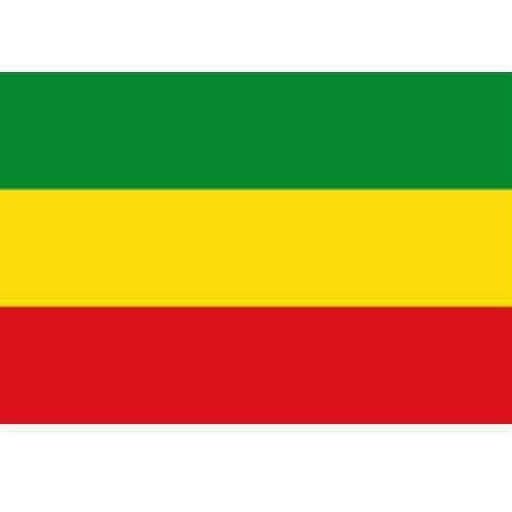 Cropped Ethiopia Flag 1 1