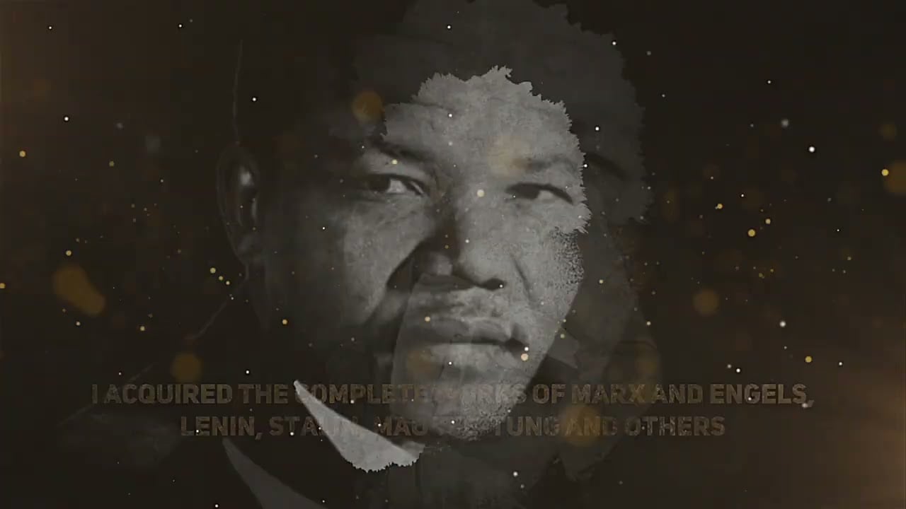 Nelson Mandela The Road to Freedom