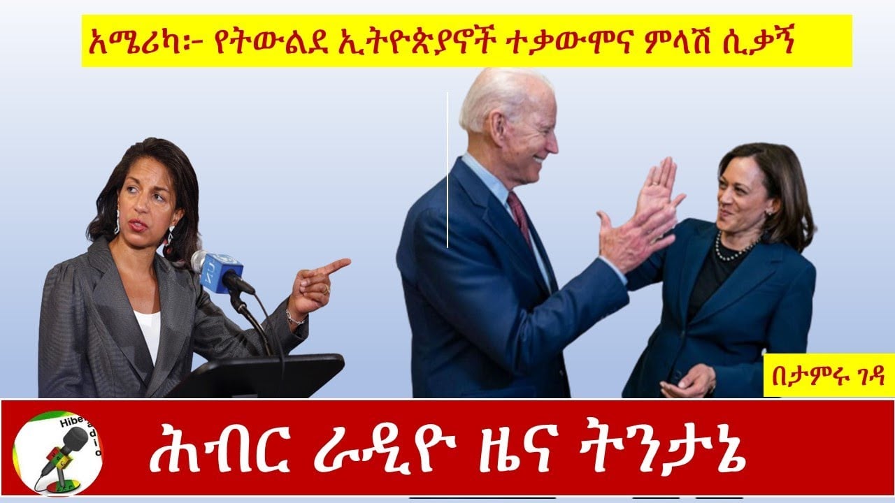 Hiber Radio News Analysis Aug 13, 2020