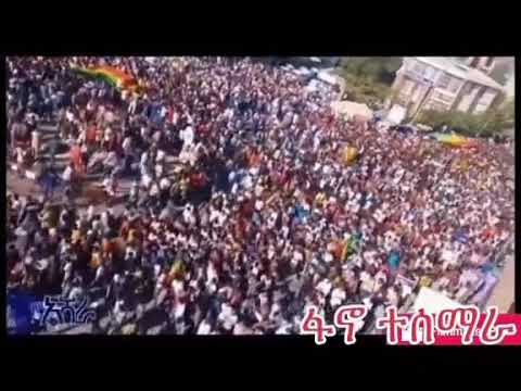 ፋኖ ተሰማራ