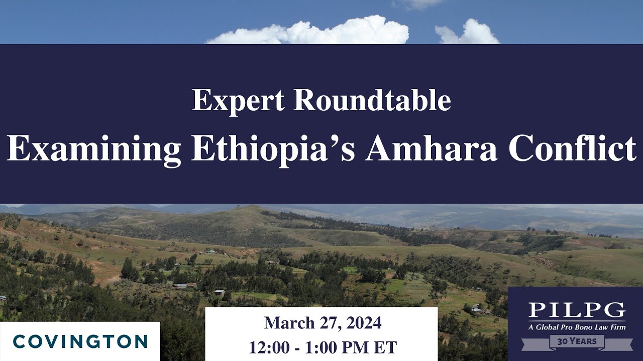 Expert Roundtable: Examining Ethiopia's Amhara Conflict