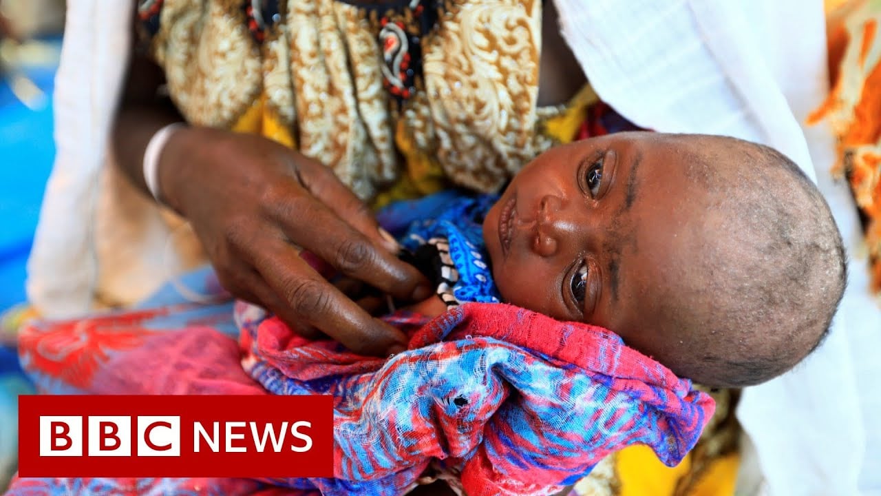Ethiopia human rights Commission: At least 600 killed in Tigray massacre - BBC News