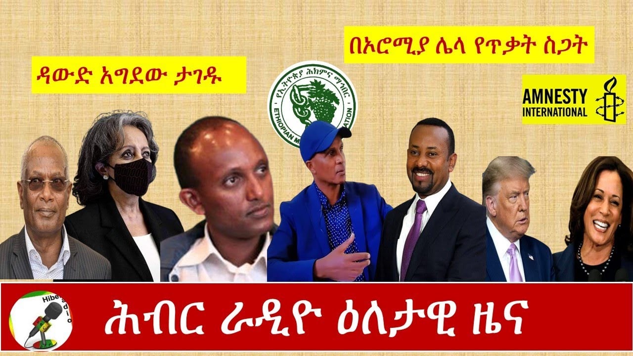 Hiber Radio Daily Ethiopian news Aug 14, 2020