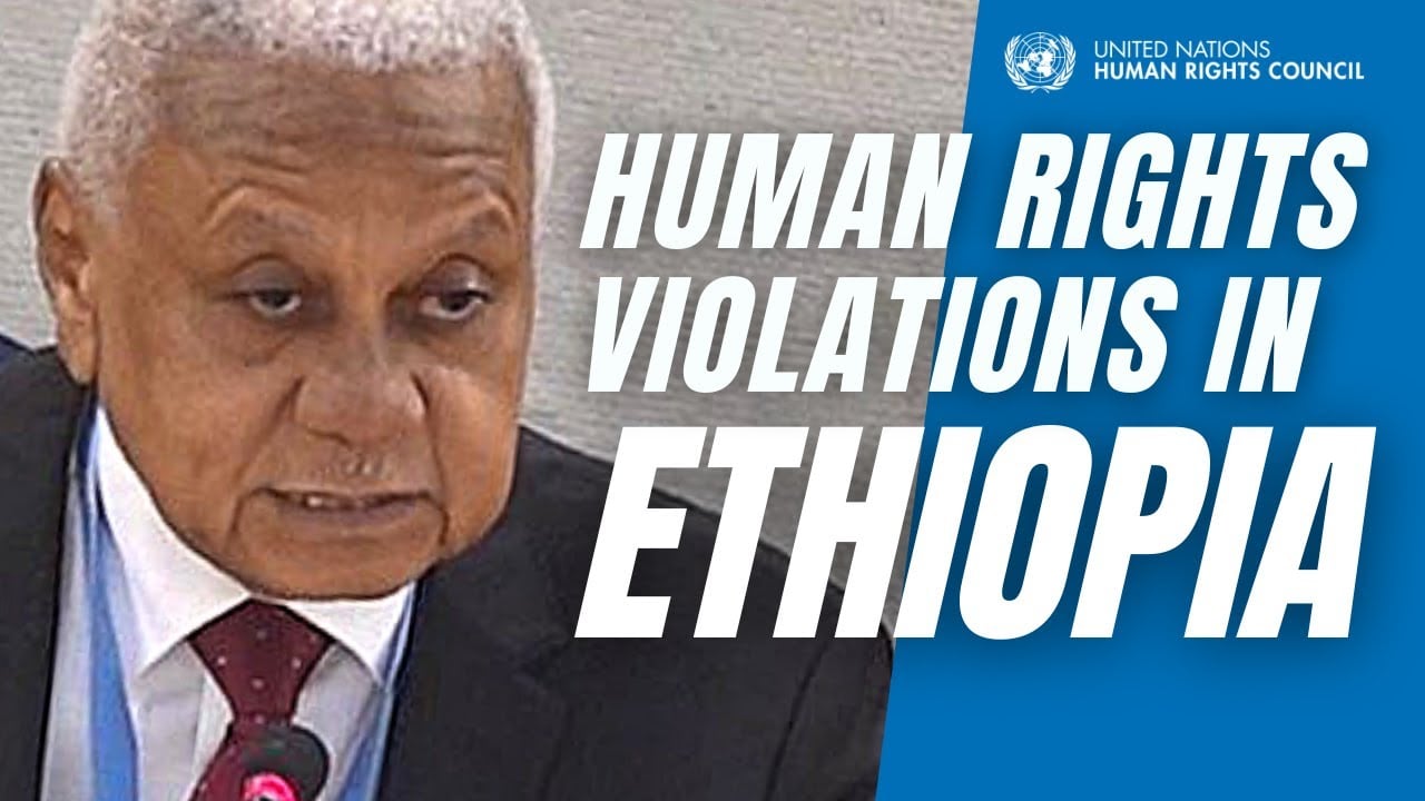 UN Expert Discusses Human Rights Violations in Ethiopia