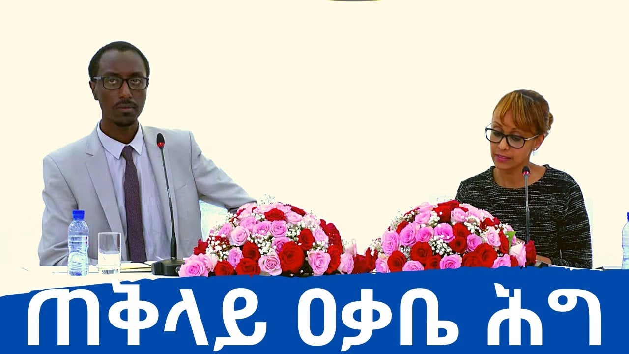 Ethiopia: Press briefing at Prime Minister Office with Attorney General Gedion Timothewos