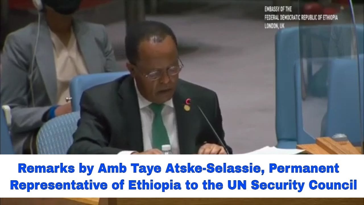 Remarks by Amb Taye Atske-Selassie, Permanent Representative of Ethiopia to the UN Security Council