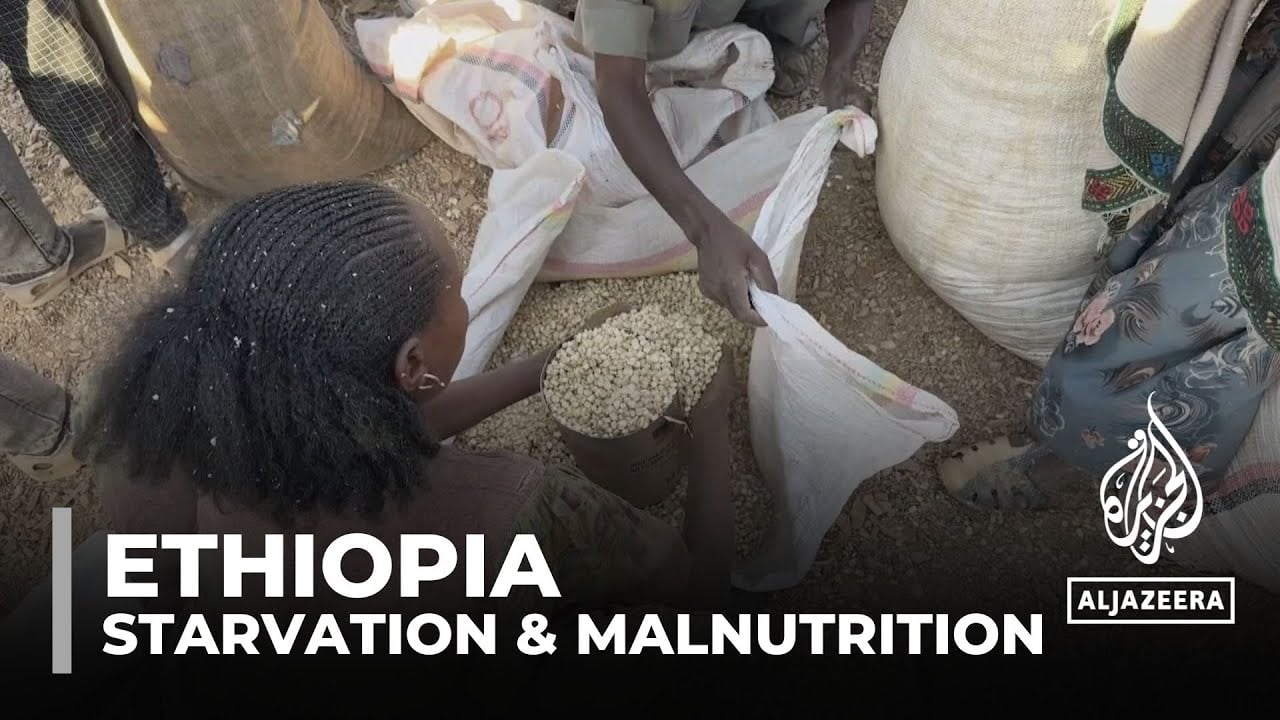 Starvation in Ethiopia: Officials blame fall in food aid for deaths