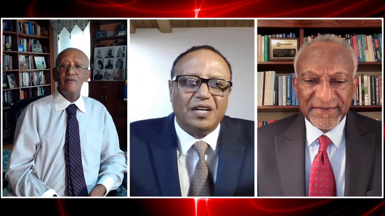 Anchor Media ህብረታችን - ከፕ/ር ተሾመ አበበባ ከዶ/ር አክሎግ ቢራራ ጋር የተደረገ ውይይት