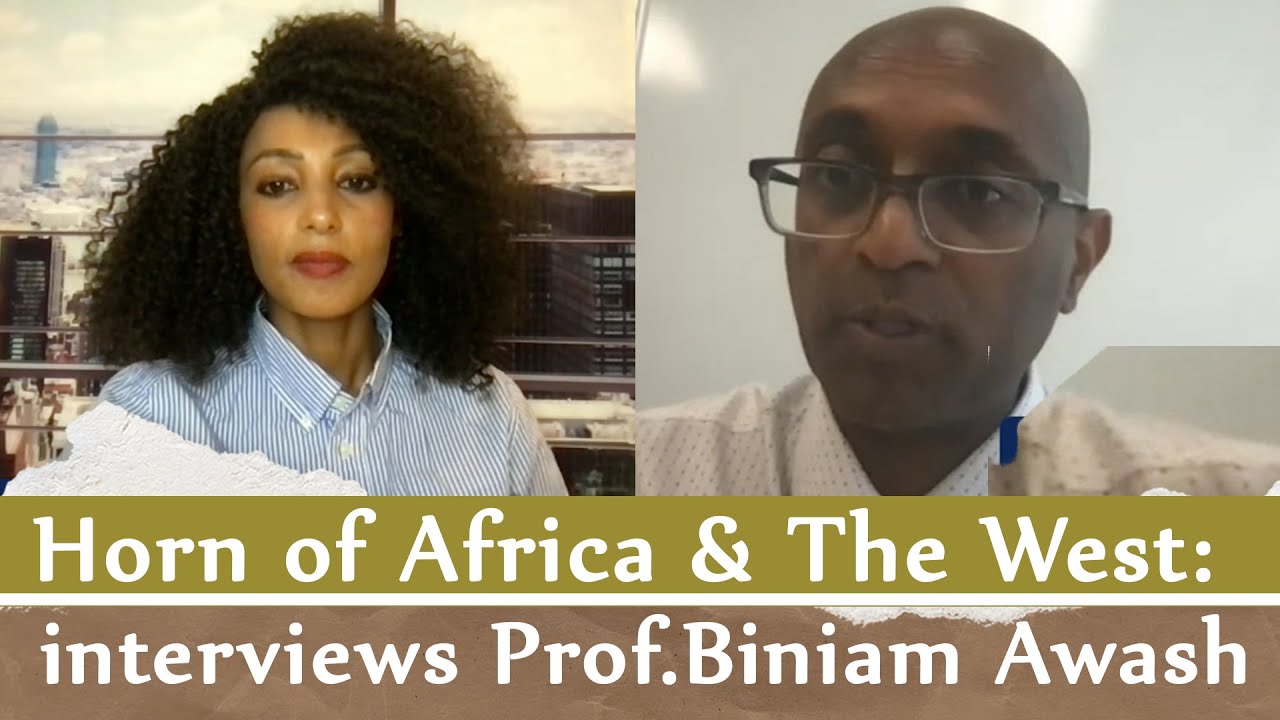 Horn of Africa & The West: Menalesh Meti interviews Prof. Beniam Awash [English language] Sept 2024