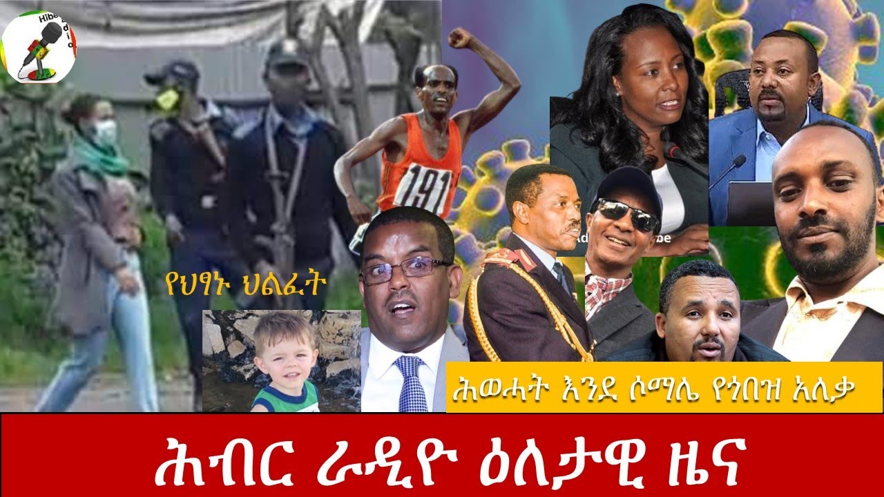Hiber Radio Daily Ethiopian News Aug 1, 2020