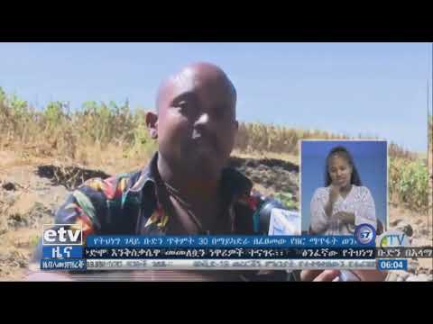 በጽንፈኛው ሕወሓት ቡድን የፈፀመው የማይካድራ የዘር ማጥፋት ወንጀል ሰለባዎች የጅምላ መቃብሮች በመገኘት ላይ ናቸው