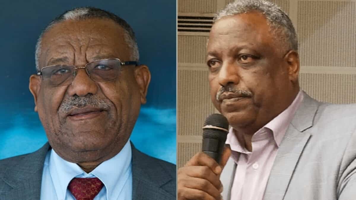 Girma Wake replaces Abadula Gemeda as Board Chairman of Ethiopian Airlines Group