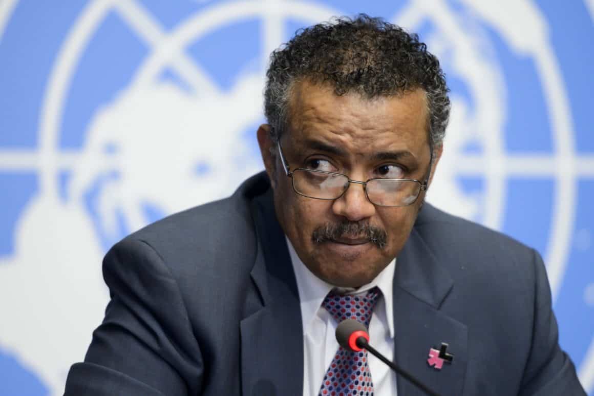 Elites expose WHO Director’s lies about humanitarian truce in Tigray