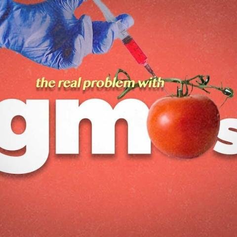 Seeds Of Death GMOs:  Real problem with GMO Food- Documentary