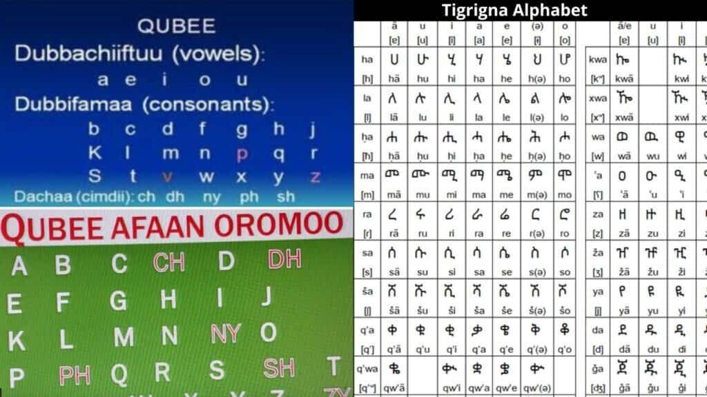Qubee Afaan Oromo and Tigrigna Alphabets 1024x576 1