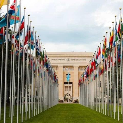 The United Nations Human Rights Council sinks to a pathetic new low