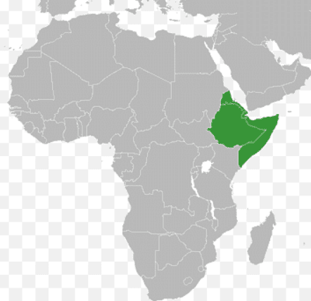 the horn of africa