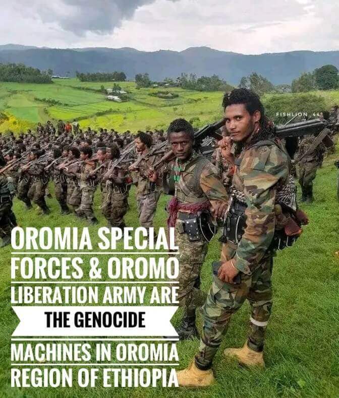 Statement on Ongoing Ethnic Massacres of the Amhara People in the Oromia Region of Ethiopia