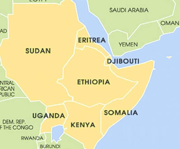 The Horn of Africa States Stability and Wellbeing