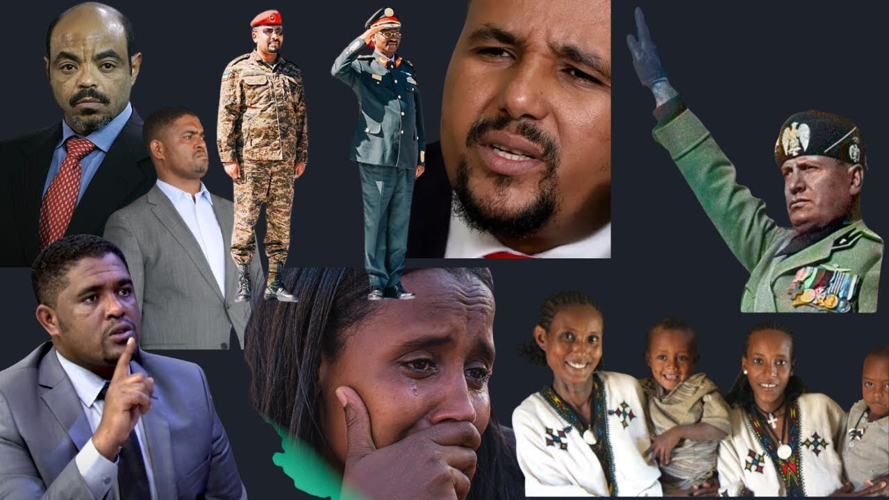 How The Tplf Olf And The Prosper