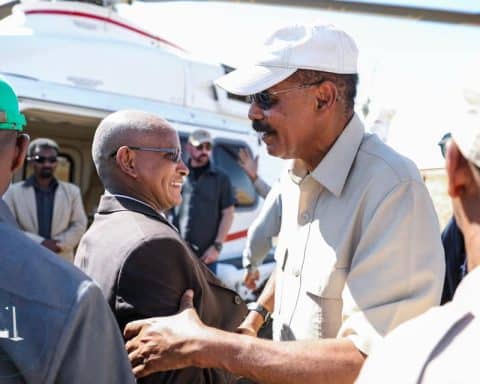 Tigray Leaders,Diplomatic Quagmire,Addis Ababa,asmara