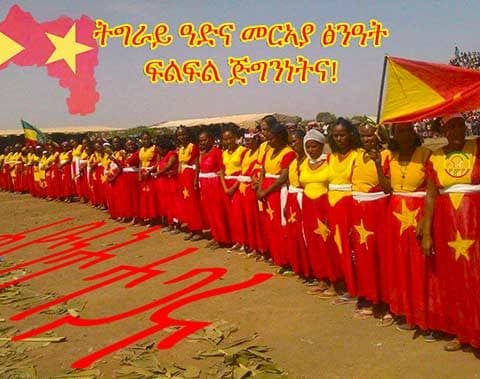 TPLF,TPLF Party,Ethiopia's Electoral Authorities