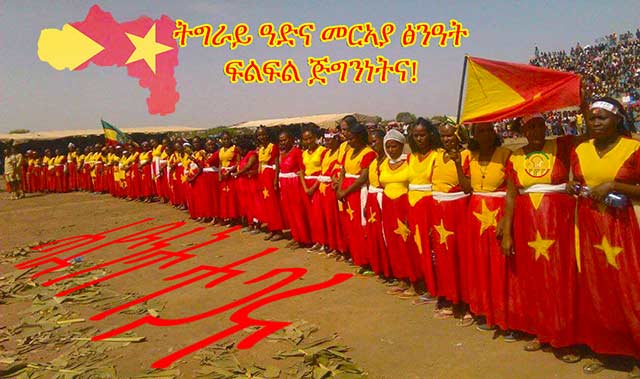 TPLF,TPLF Party,Ethiopia's Electoral Authorities
