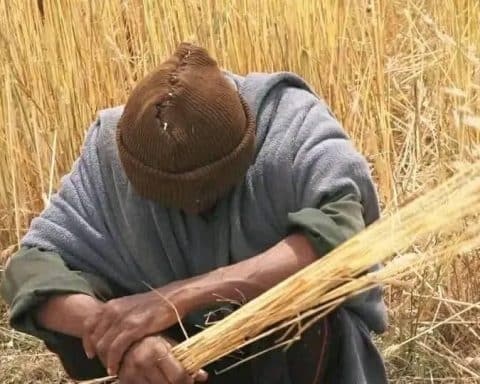 Africa's Breadbasket,Abiy Ahmed's Agricultural Claims,Agriculture,Unpacking Abiy Ahmed