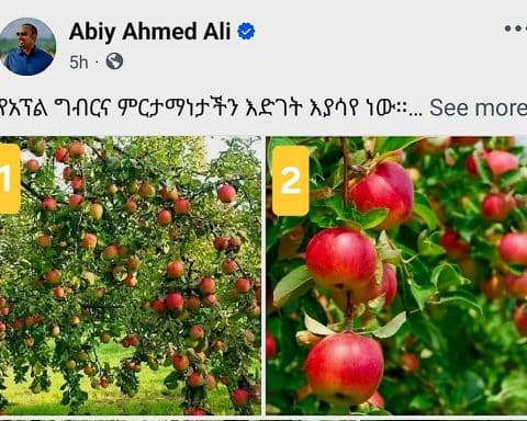 Debunking,Abiy Ahmed,Abiy Ahmed's Social Media Apple Images