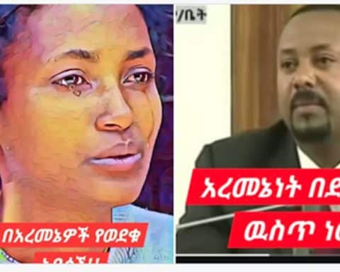 Abiy Ahmed,crime