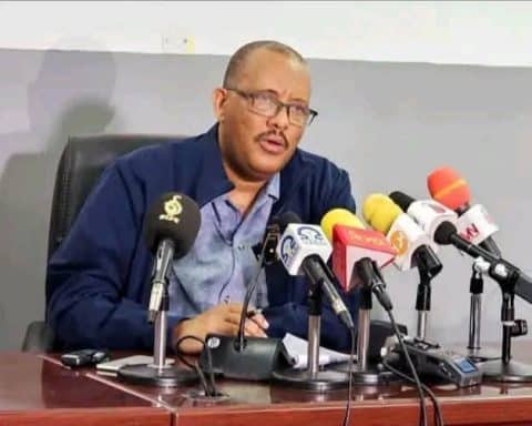 Getachew Reda,Hero,Traitor,Political Survivor