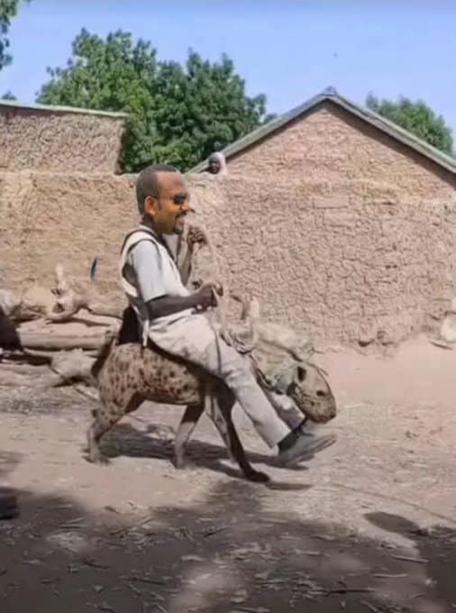 Hyena Skin,Abiy Ahmed,Hyena Cubs