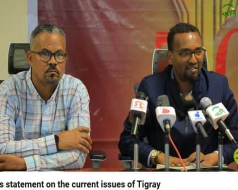 Tigray, Dr. Fiseha Haftetsion, Amanuel Assefa