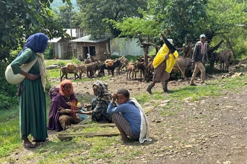 Awra Amba,Ethiopian Community,Abiy Ahmed&#039;s War,Amhara