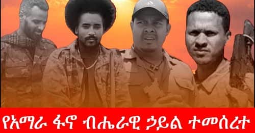 Amhara Fano National Force
